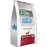 vetlife cao gastro intestinal 2 kg