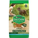 Ração Dog Chow Cães Filhotes Frango e Arroz  15Kg