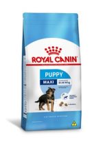 Ração Royal Canin Maxi Cães Filhotes Raças Grandes